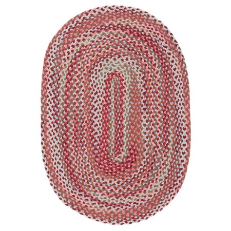 Safavieh 4 x 6 ft. Braided 257L Flat Weave Oval Area Rug Light Blue & Rust BRD257L-4OV